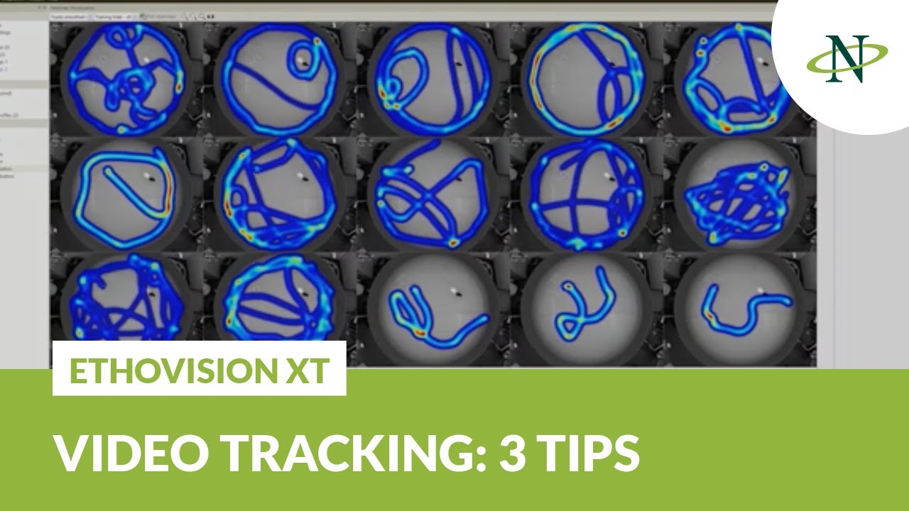 3 Tips: How To Use EthoVision XT | Noldus Product Demo - YouTube