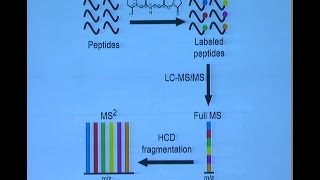 Measuring cellular signaling using MS based proteomics