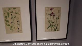 「杉浦非水　時代をひらくデザイン」（たばこと塩の博物館）を取材