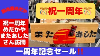 【メダカ 飼育】祝一周年 めだかや またあした さん　セール めだか 品種 拝見