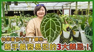 [植物新手照過來]植物殺手別再犯！雨林植物買回家的3大禁忌！ #新手 #雨林植物 #入坑 #禁忌 #植物照顧