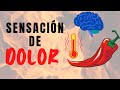 El picante NO es un SABOR. Es una sensación de DOLOR