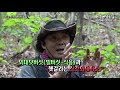 야생버섯은 흰색을 조심해야 합니다 독우산광대버섯 cut 장경수 황태달 백형우 야생버섯도감 mushroom