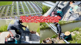 Chia sẻ chạy ống nước cho ông anh 10000m2 như thế nào ??