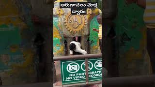 అరుణాచలం మోక్షద్వారం నుండి బయటికి వస్తే పాపాలునాశనం అవుతాయి #chagantipravachanalu  #lordshivatemple