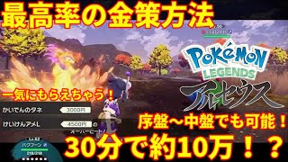 【レジェンズアルセウス】最高率の金策方法はこちら！30分で約10万！？【お金稼ぎ】【Pokemon LEGENDS】