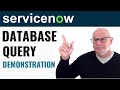 ServiceNow Developer - Database Query Demonstration