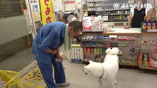 “レジ打ち動画”でブレーク！　酒店の看板犬・梅子の日常（５）閉店後のお楽しみ