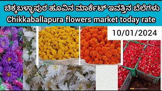 Chikballapura flowers market today rate ? 10/01/2024 ಚಿಕ್ಕಬಳ್ಳಾಪುರ ಹೂವಿನ ಮಾರ್ಕೆಟ್‌ ಇವತ್ತಿನ ಬೆಲೆಗಳು.?