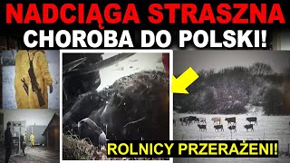 NADCIĄGA STRASZNA CHOROBA DO POLSKI 33 000 litrów mleka dziennie do ścieku!