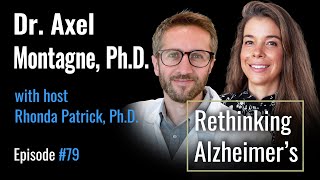Axel Montagne, PhD, on Solving Alzheimer’s and Dementia with Blood-Brain Barrier Repair
