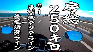 房総２５０キロ #1 【GLADIUS 400】