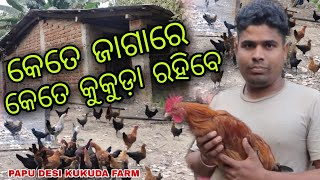 Kete jagare kete kukuda rahiba // Desi kukuda farm // Papu Desi Kukuda Farm