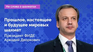 Президент ФИДЕ Аркадий Дворкович: прошлое, настоящее и будущее мировых шахмат // Интервью