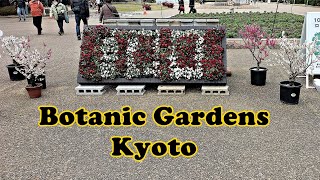 Kyoto Botanical Gardens - Mostly flowers