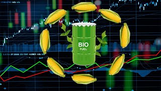 Are Biofuels Worth the Investment ?