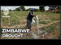 Drought adds to hardship as Zimbabwe economy shrinks
