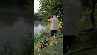 RIBOLOV - Zestoka borba sa saranom na Balintu (carp fishing on Balint Lake)