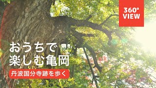 【おうちで楽しむ亀岡(360°)】丹波国分寺跡を歩く in Autumn