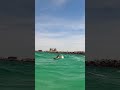 Dolphins in Destin, Florida #shorts