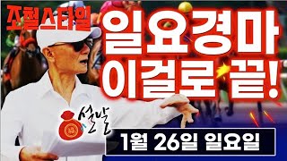 [경마] 조철스타일 경마 [1/26 일요일] 메인승부: 과천- 6R 9R 11R / 부산-5R 6R