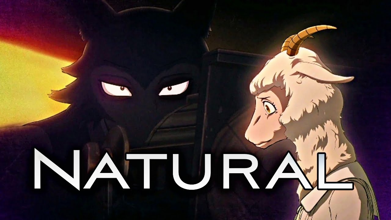 Beastars Amv Cradles At Nicholas Dahlke Blog