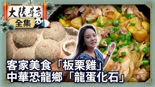 Enjoy Hakka cuisine: 'Roast Chicken with Chestnuts'.The homeland of Chinese dinosaurs