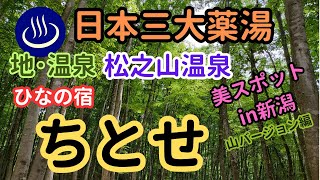 魅力ある源泉かけ流しの薬湯♨ 湯治した豚⁉と卵⁉が食べられる‼『ひなの宿 ちとせ』さん♪ 山里の絶品料理と太古の化石海水の薬効に大満足!!