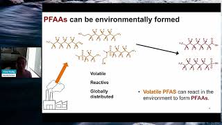 Environmental fate and global distribution of PFAS [Full Talk]