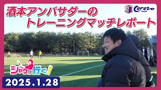 宮崎キャンプレポート2025【シャケが行く！1/28トレーニングマッチ現地レポート】