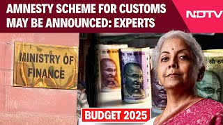 Union Budget 2025 | Amnesty Scheme For Customs May Be Announced In Budget 2025: Experts