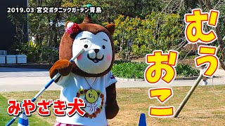 【みやざき犬】春の「むぅおこ」：怒って可愛さ倍増！？ (201903宮交ボタニックガーデン青島)