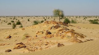 कूकरा ग्राम, भीम तहसील, राजसमन्द (राजस्थान) के बारे में जमीनी हकीकत।—Kookra Village Area—GK Hindi 4k