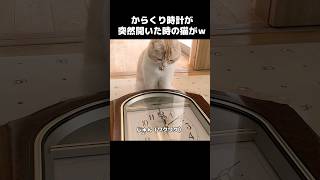 からくり時計が突然開いた時の猫が可愛すぎた#shorts