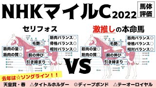 【NHKマイルカップ2022】セリフォス上位人気陣の中では一番良いと思うんだけどな〜今回は当たりますように…とあの星座にお願いをする私【馬体評価】