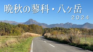 【晩秋の蓼科・八ヶ岳】2024年11月3日の蓼科・八ヶ岳の様子をおとどけします