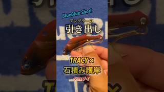 【アングラーの引き出し】TRACY × 石積み護岸 #bluebluefishing #ウッチーダ