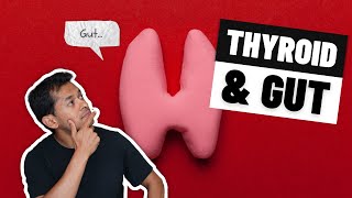 How to Fix Your Thyroid by Fixing Your Gut