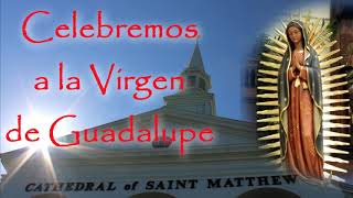 Celebremos a La Virgen de Guadalupe, este 12 de Diciembre, en nuestra Catedral. Mañanitas y Misa.