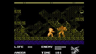 [TAS] NES Werewolf: The Last Warrior by andrewg \u0026 AnS in 08:59.58