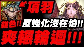 【神魔之塔】項羽『爽輾新輪迴二週目！』反強化也沒在怕！雜色配置示範！【踏入神話之鄉】神日高照【破陣無雙 ‧ 項羽】【小許】