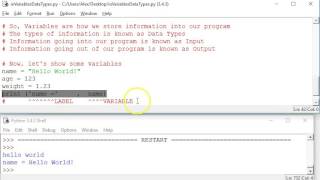 Python Input, Output, Variables, Data Types