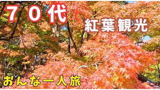 【７０代ばあちゃんの日常】秋の紅葉一人旅/晩秋の観光地/四国八十八か所