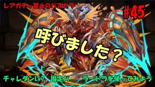 レアガチャ禁止のパズドラ　#45　チャレダンLv7（ラードラ固定パ）　ラードラを使ってみよう　色々初心者がおくるゆっくり実況