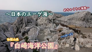 【日本のエーゲ海】和歌山県　白崎海洋公園に行ってきました。風が風が・・・