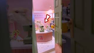 adorable tiny room designed for a HAMSTER #shortsvideo