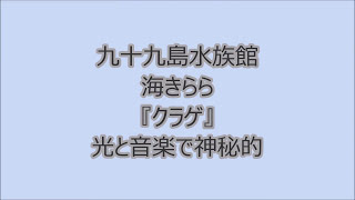 九十九島水族館　海きらら　クラゲ　2017・8・25