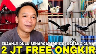 TERJUN BEBAS ! DULU MURAI BATU WARNA INI SEHARGA MOBIL SEKARANG CUMA 2 JT SUDAH DAPAT GRATIS ONGKIR