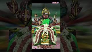 கோட்டப்பாளையம் மாரியம்மன் திருவிழா தேரோட்டம் #shorts #mariamman