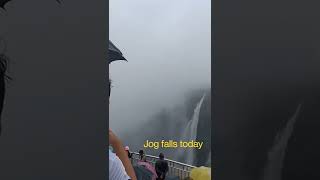 Jog falls today live video #shorts